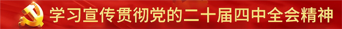 学习宣传贯彻党的二十届四中全会精神