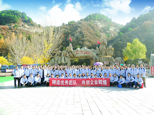 三牛娱乐集团,长沙杀虫剂,长沙光气衍生物,长沙氨基酸保护剂,长沙锂离子电池材料