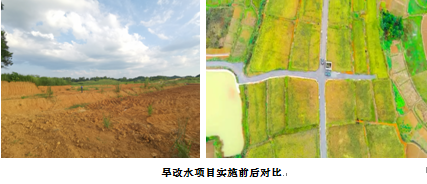 三牛娱乐集团,长沙杀虫剂,长沙光气衍生物,长沙氨基酸保护剂,长沙锂离子电池材料